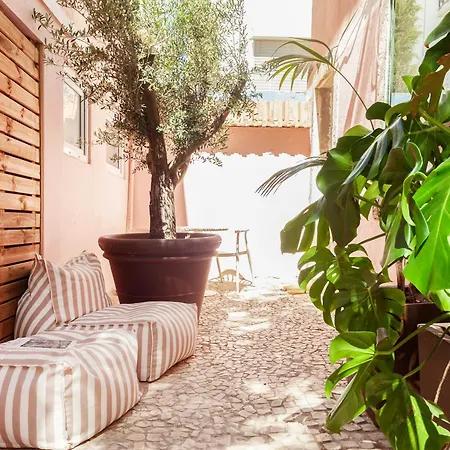 Amoreiras Garden - Cheese & Wine * Lisboa